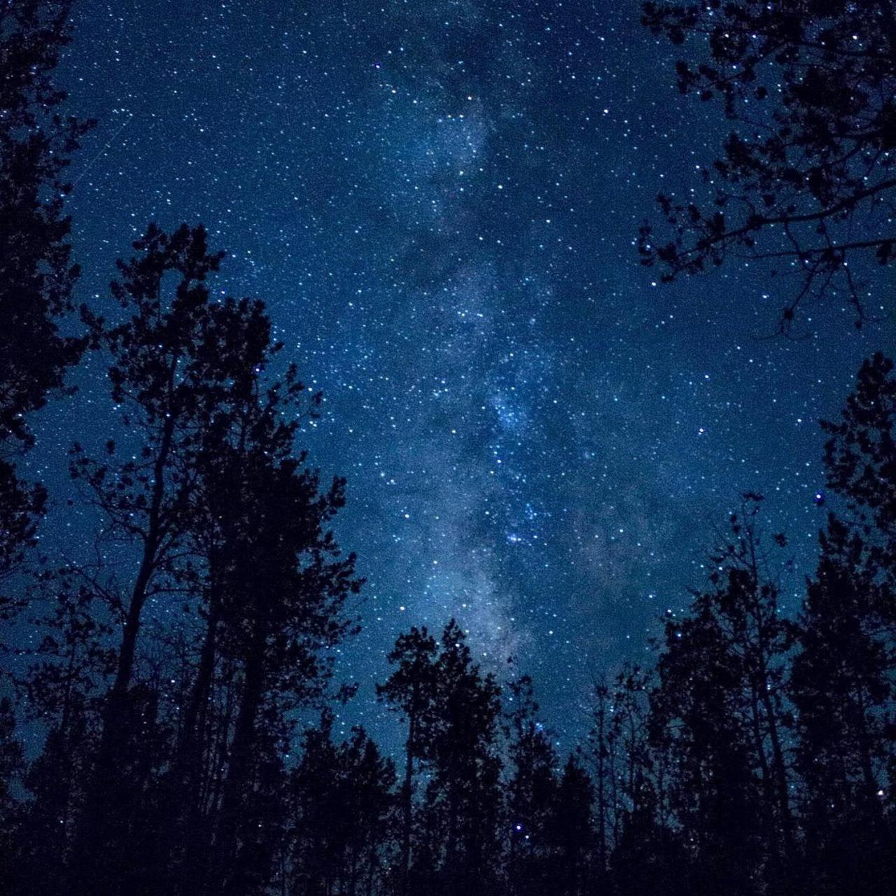 The Milky Way @ Pine Resort Fraser Hill Luaran gambar
